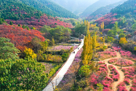 官護(hù)山