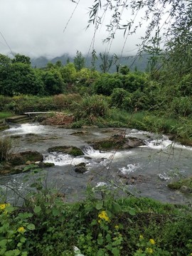 春天漲潮