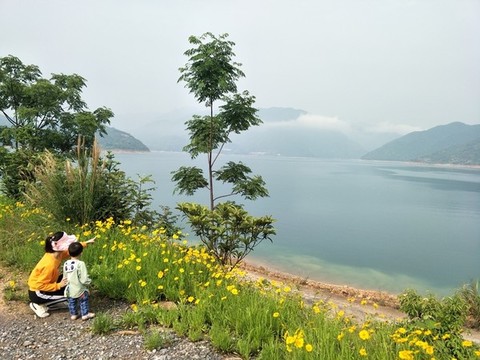 周末湖邊親子游