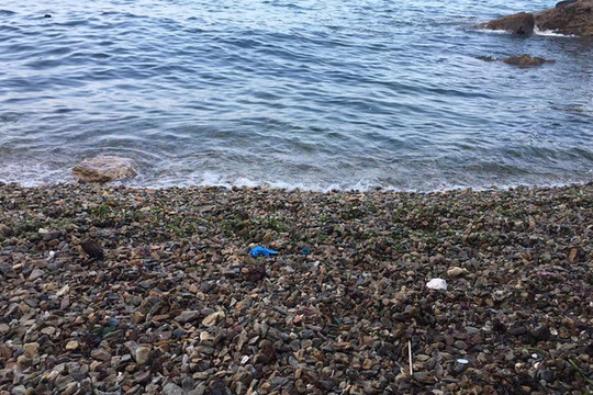 大海