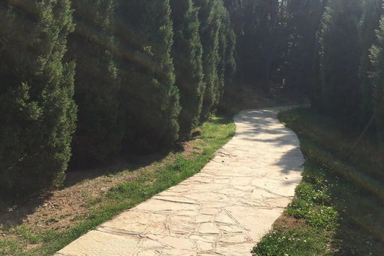 公園小路