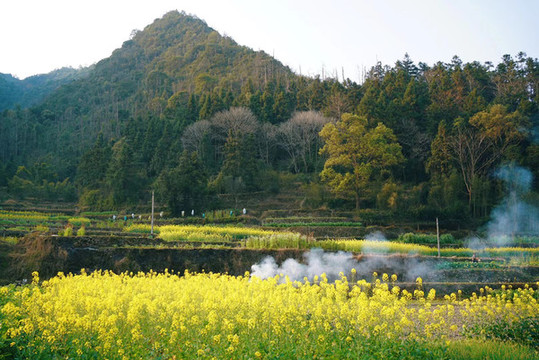 田野風(fēng)光