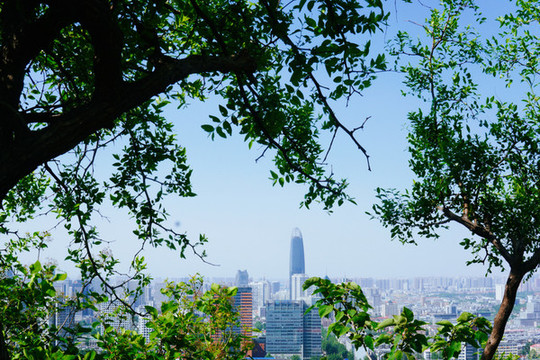 濟南之根