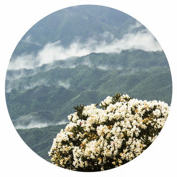 圣堂山風(fēng)景