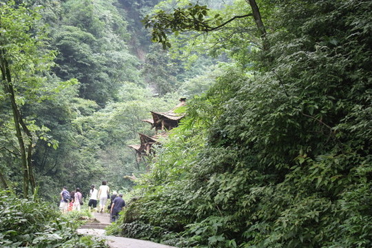 深山藏古寺