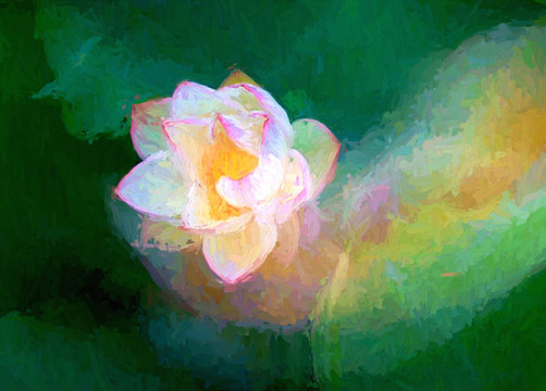 蓮花油畫