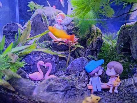 魚缸微縮景觀