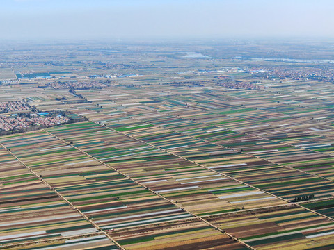 農(nóng)業(yè)基地