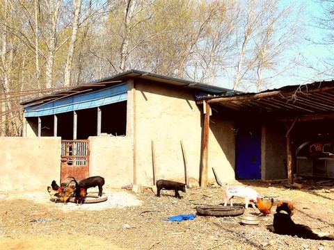 農(nóng)家院