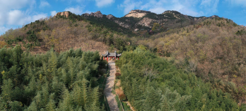竹子庵