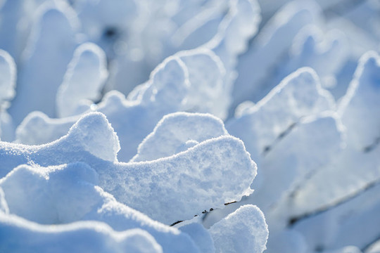 雪