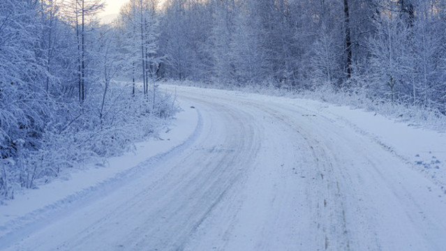 林區(qū)冬天雪路風光