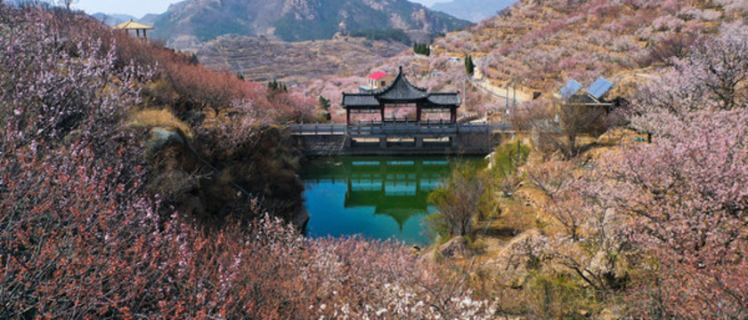 大嶗櫻桃谷