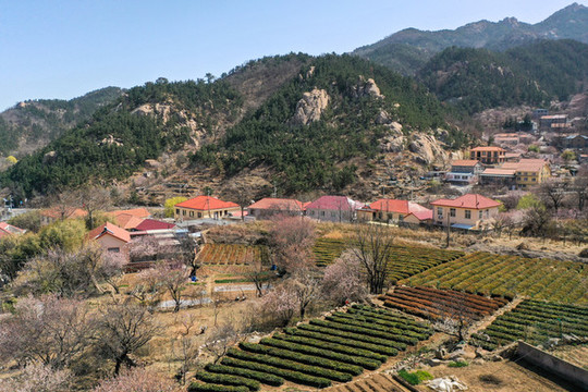 解家河