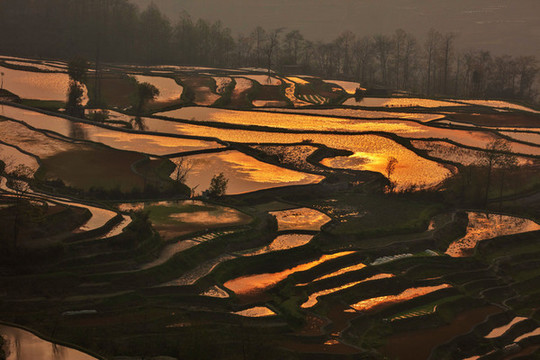 元陽(yáng)梯田