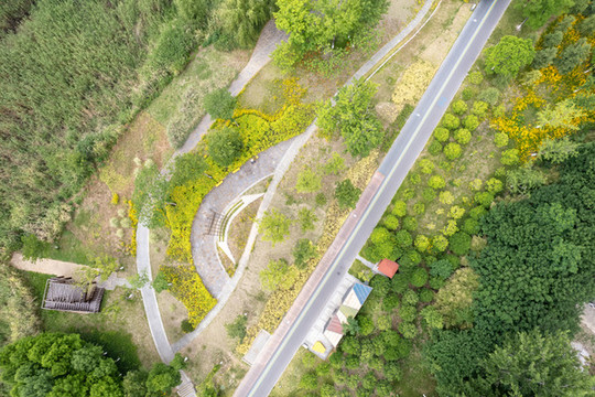 廖家溝城市中央公園彩虹公路