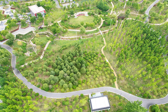 俯瞰揚(yáng)州廖家溝城市中央公園