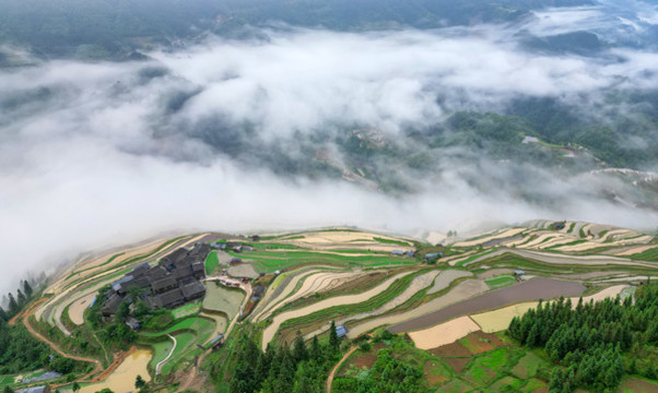 加榜梯田