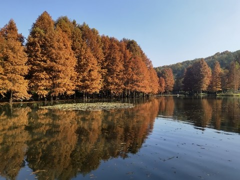 明孝陵