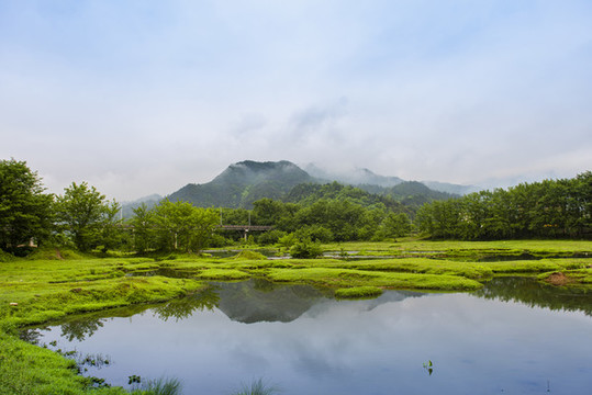 鄉(xiāng)鎮(zhèn)風光草地溪流
