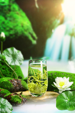 信仰毛尖綠茶