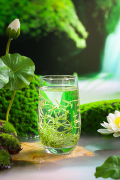 信仰毛尖綠茶