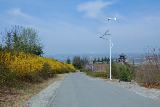 新能源路燈