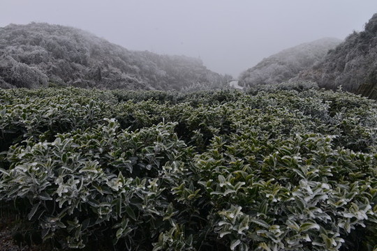 冬日中的云臺(tái)山