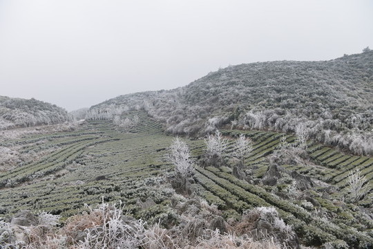 冬日中的云臺山