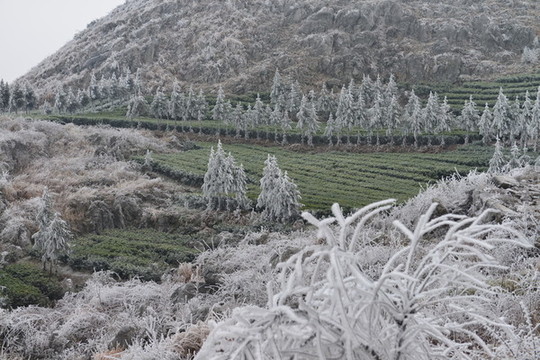 冬日中的云臺(tái)山