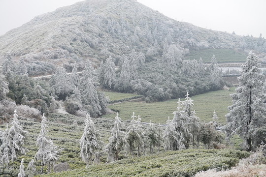 冬日中的云臺(tái)山