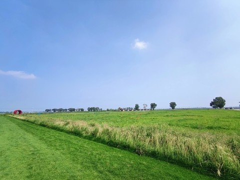 內(nèi)蒙古大草原
