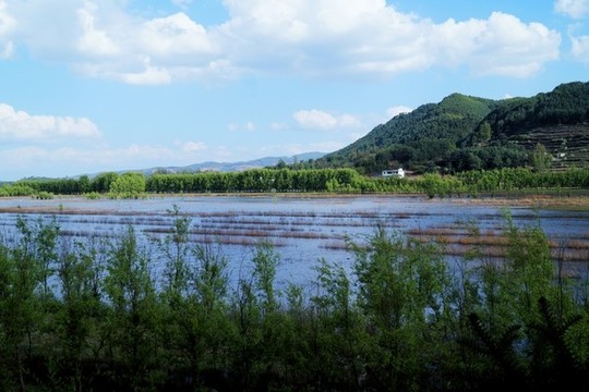 會澤念湖