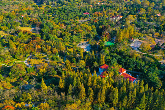 青島中山公園