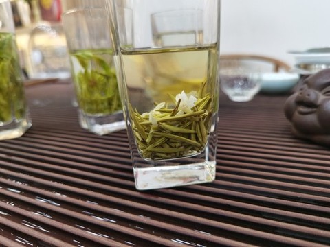茉莉花香針茶