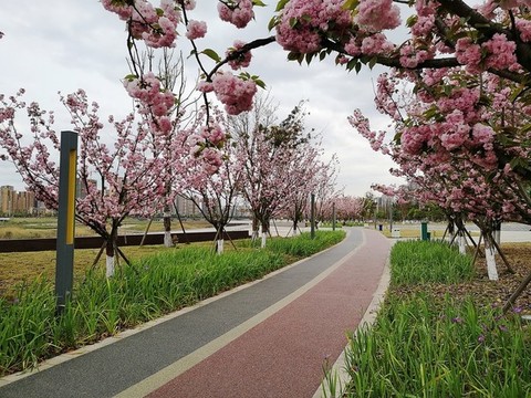 公園綠道