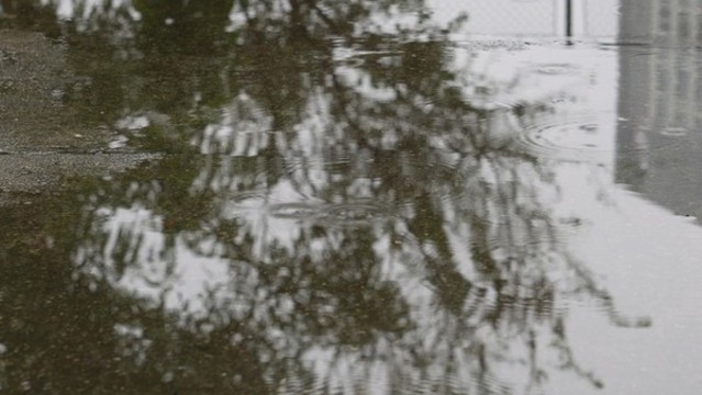 下雨積水水中倒影