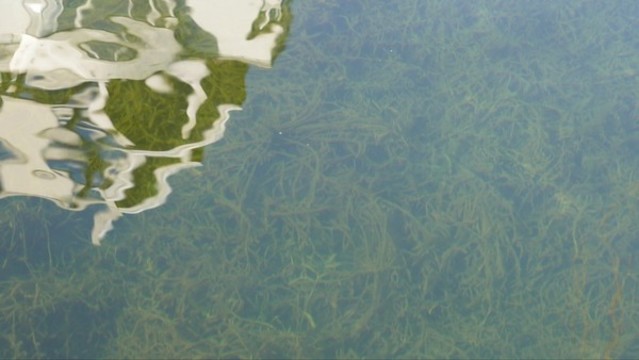 反光水波紋倒影水光水面水流