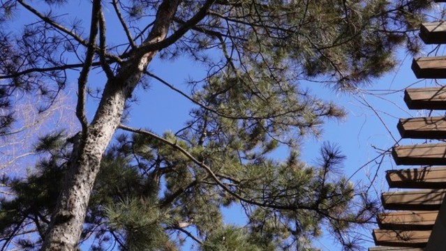 古典長(zhǎng)廊庭院園藝紫竹院公園