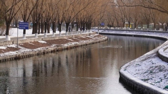 綠頭鴨野鴨鴛鴦游泳游水河面