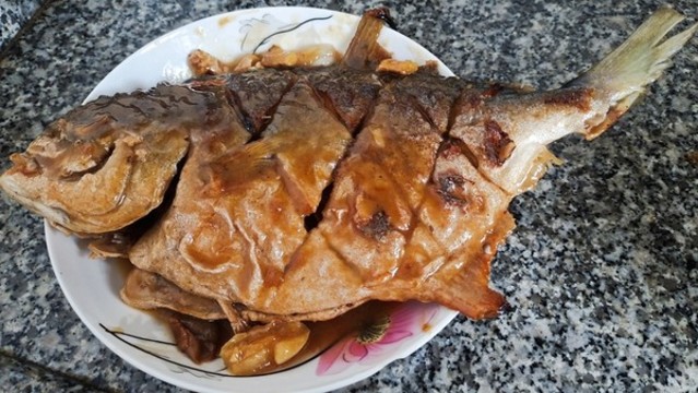 海魚
