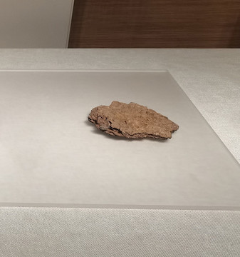 鎧甲殘片