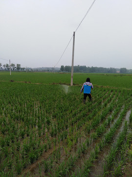 打農(nóng)藥
