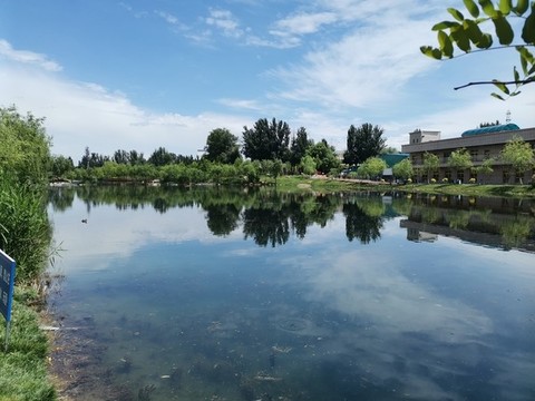 郊游