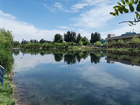 郊游