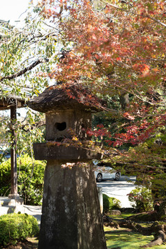 日本寺廟紅葉