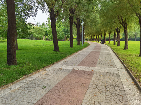 公園健步道