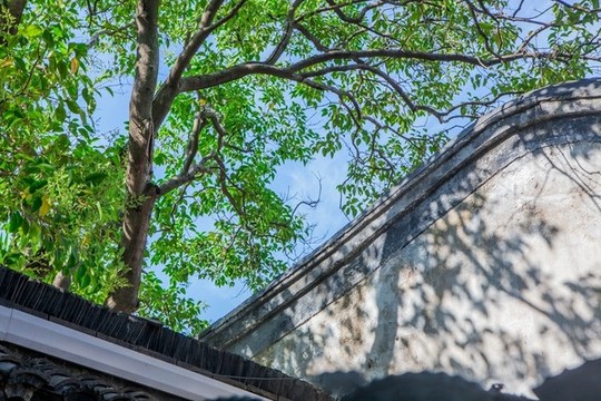 江蘇省淮安市清晏園風(fēng)光