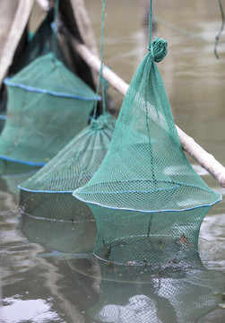 農(nóng)家自養(yǎng)魚蝦