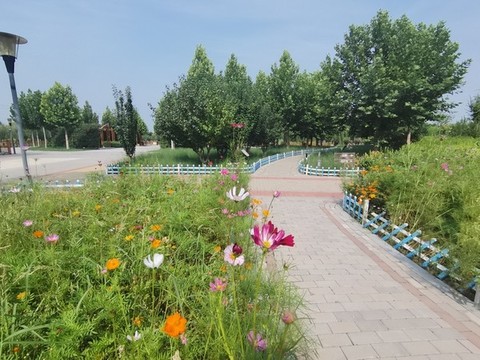 園林小路
